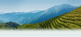 今晚意大利杯焦点战-关于w-?d#